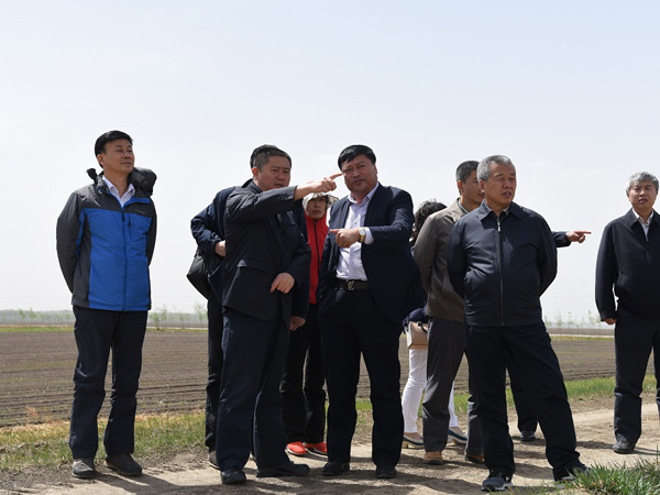 1495684159810632.jpg 1.jpg