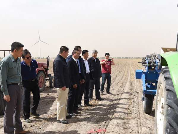 1495684164111882.jpg 2.jpg