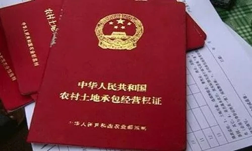 1517195577187145.jpg 640.webp (1).jpg