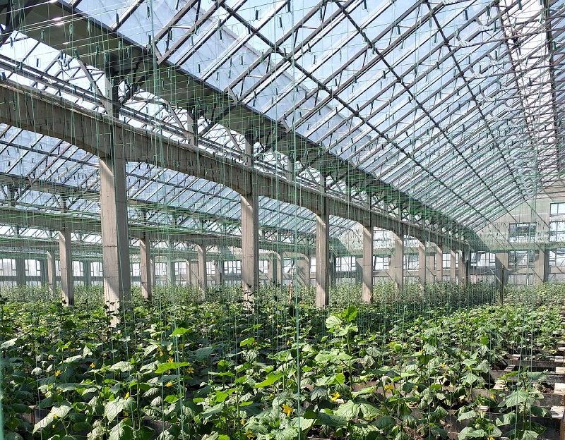 1524121539190329.jpg 微信圖片_20180419105050_副本.jpg