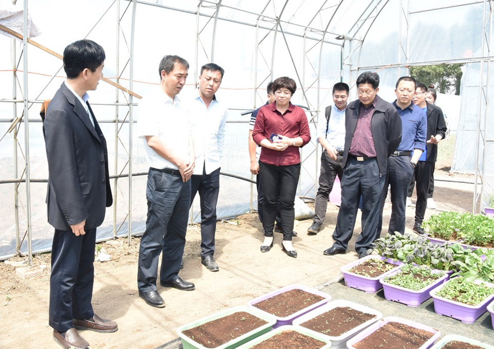 1528100819201345.jpg DSC_2941_副本.jpg