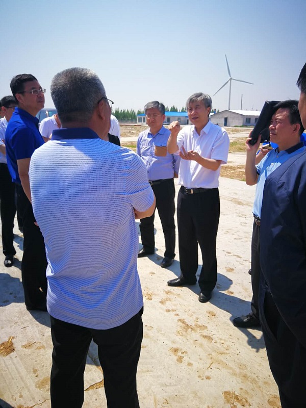 1528702155902806.jpg 2.jpg