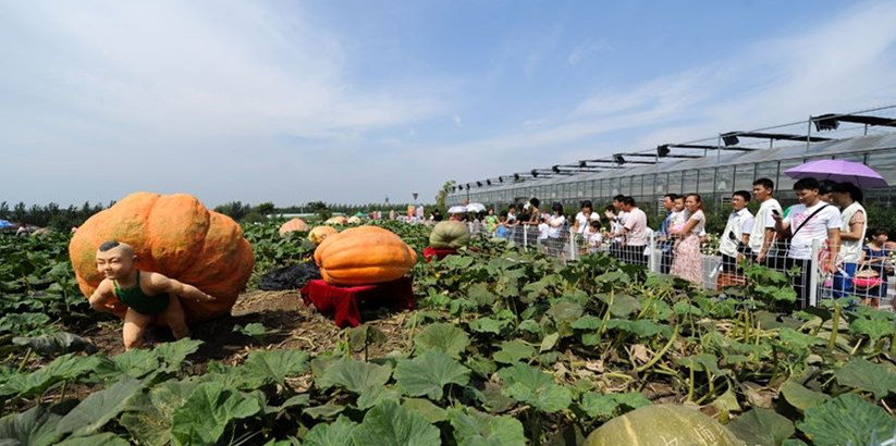 1536802156995497.jpg 6d81800a19d8bc3e732adbca818ba61ea8d34594.jpg