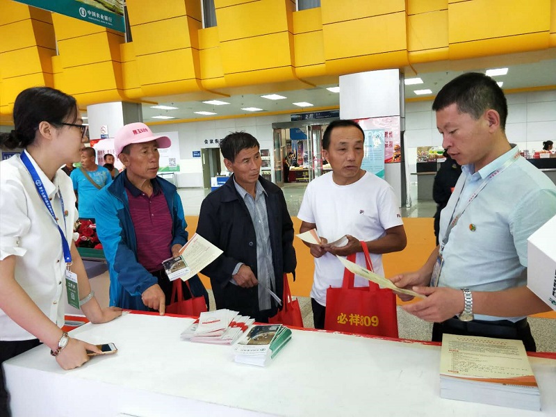 1536802212687561.jpg 276604838093907599.jpg