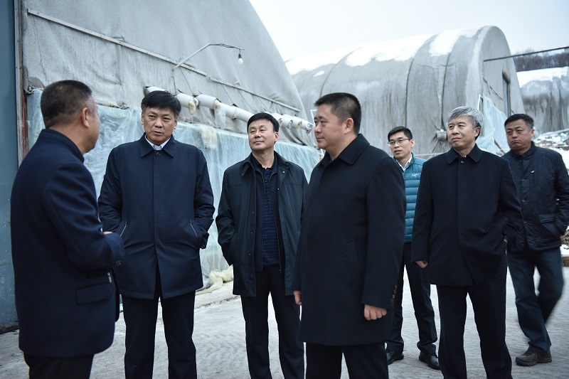 1542785008128398.jpg DSC_1365.JPG