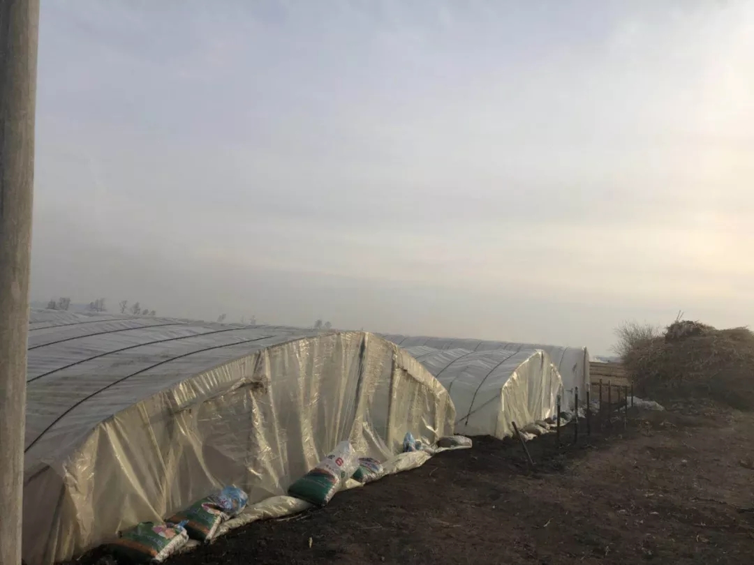 1553587901105092.jpg 1553587901105092.jpg