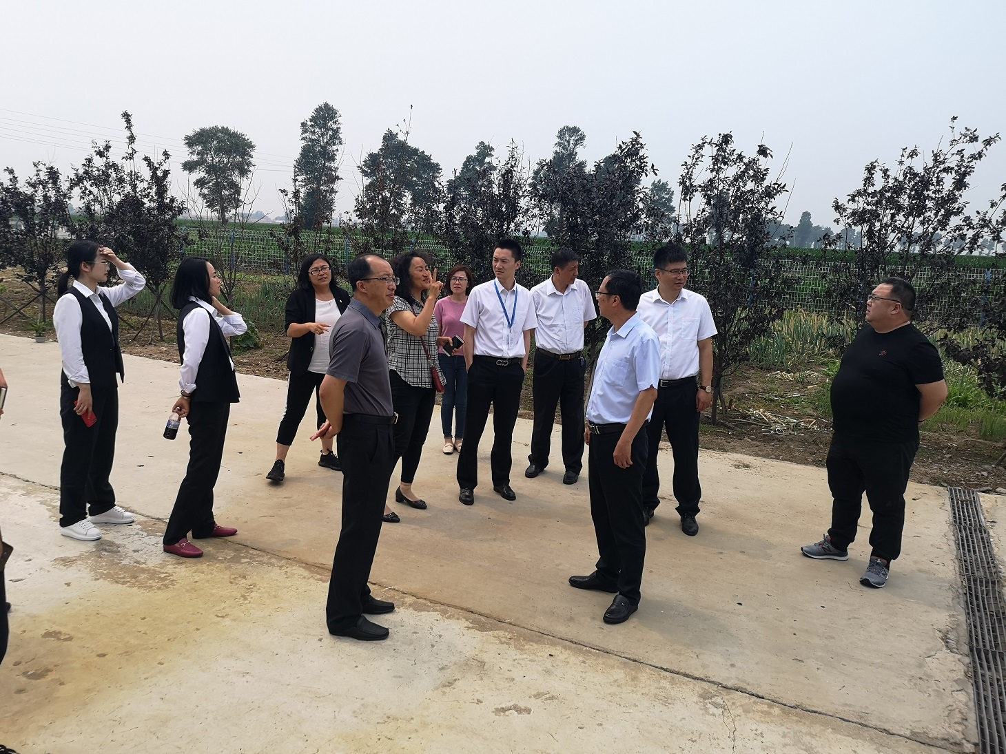 1563954343114733.jpg 1563954343114733.jpg