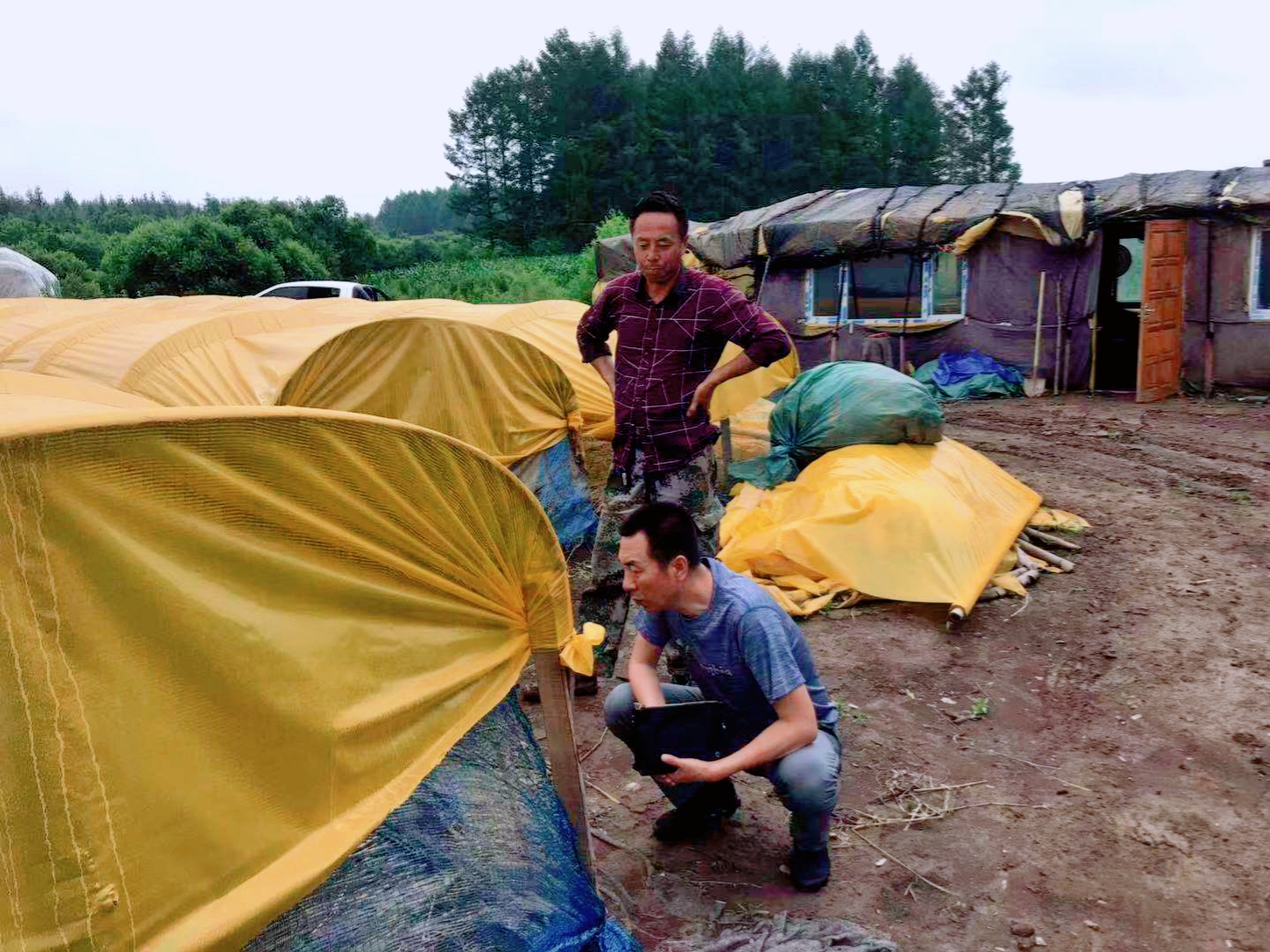 1568193278363500.jpg 1568193278363500.jpg